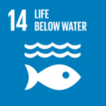 No. 14 Life Below Water_United Nations Sustainable Development Goals